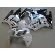 Kawasaki ZX12R 02-06 - Blanco Monster